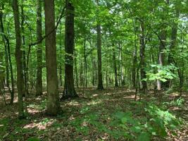 0 7.37ac. Peninsula Trail