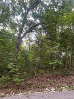 211 Bluebird Lane