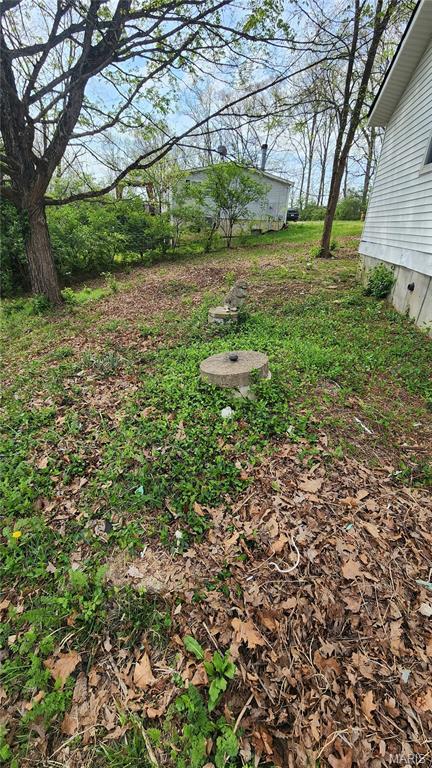 Image 4 Image 4