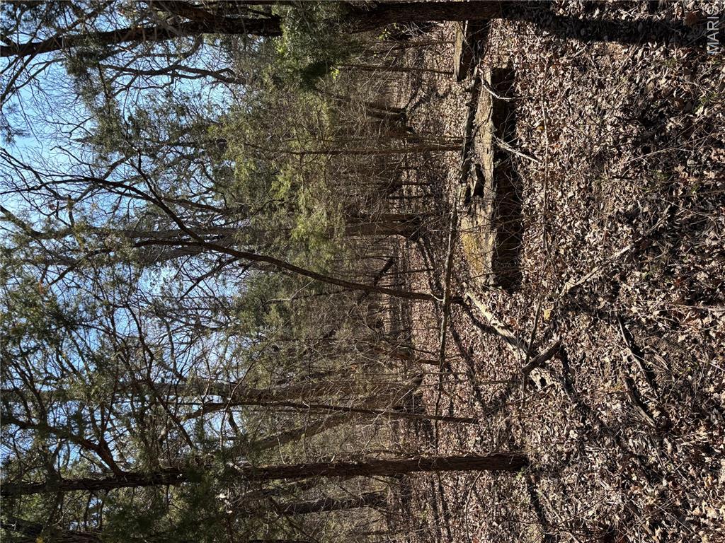 Image 4 Image 4