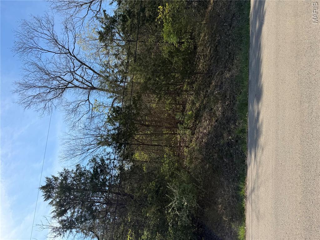 Image 1 Image 1