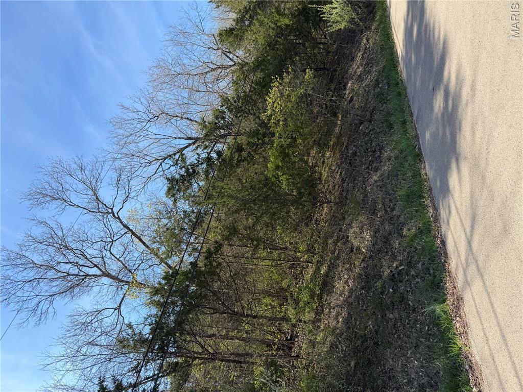 Image 2 Image 2