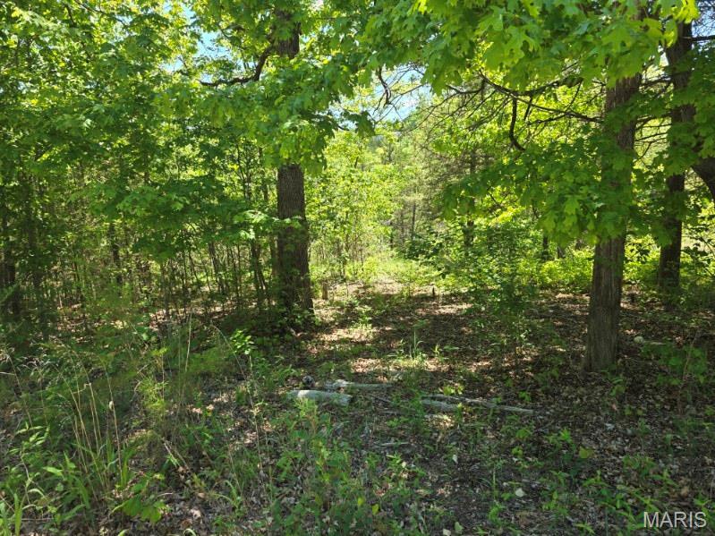 Image 3 Image 3