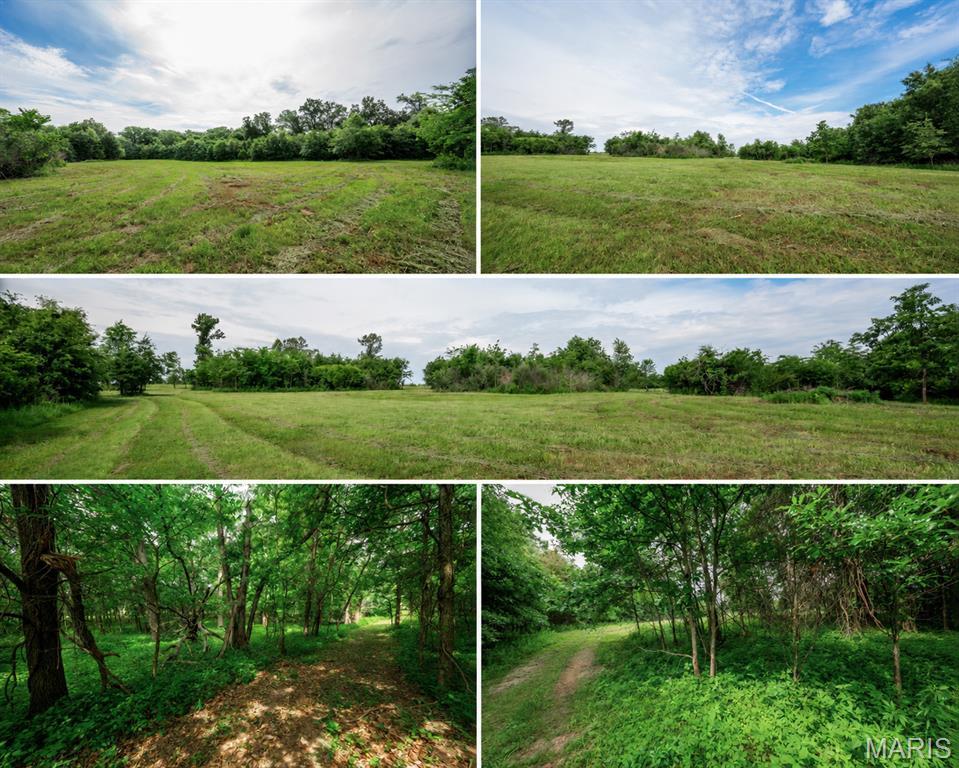 Image 1 Image 1