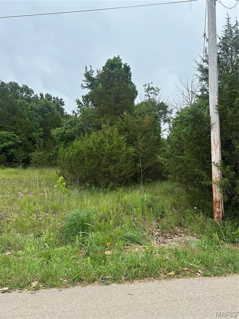 Image 4 Image 4