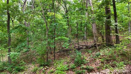 9576 Bent Tree