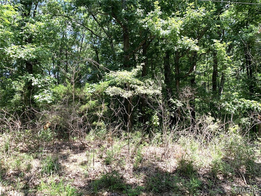 Image 3 Image 3