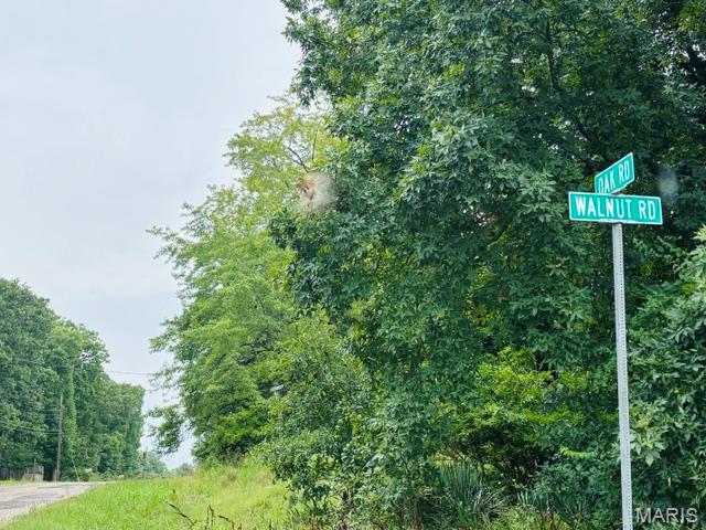 Image 4 Image 4