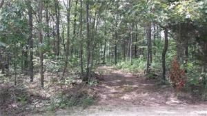 9333 Blue Ridge Trail