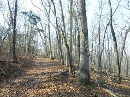 0 Log Cabin/Peninsula Trail