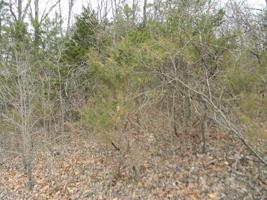 0 Lakeshore Blk 2, Lot 87
