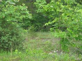 9536 Bent Tree Drive