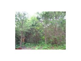 0 Moultrie