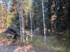 TBD Meadows Road
