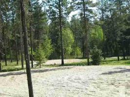 12928 Dawn Drive