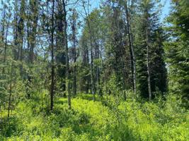 Lot 11 Oakwood Drive