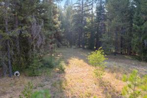 2135 West Mountain Road