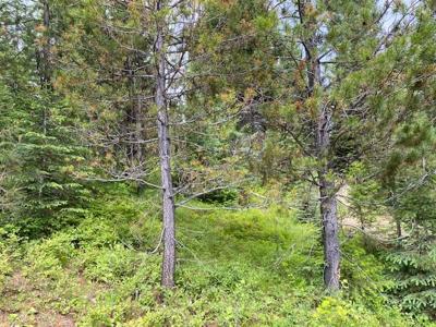 Lot 7 Dakota Way