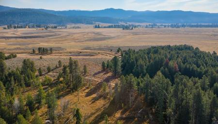 TBD Meadow View Lane