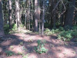 2089 John Alden Road