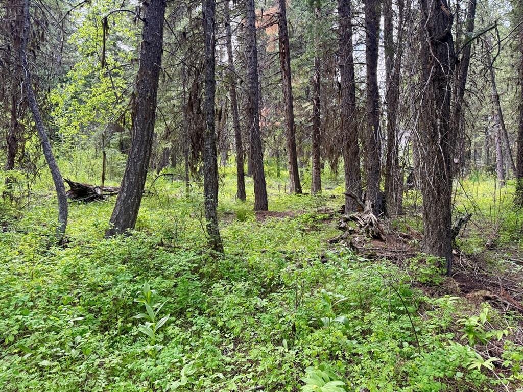 Image 4: Relatively Level Ground