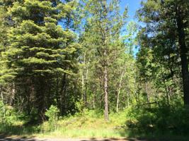 1791 Warren Wagon Road