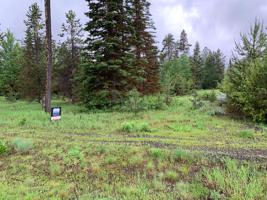 11 Meadowlark Court