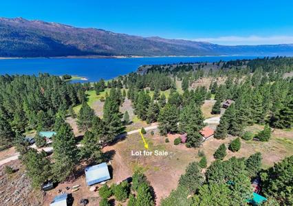 328 Lone Pine Drive