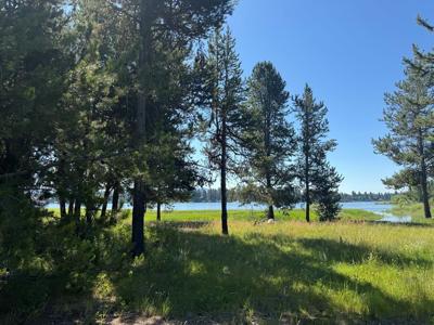 12980 Ponderosa Drive