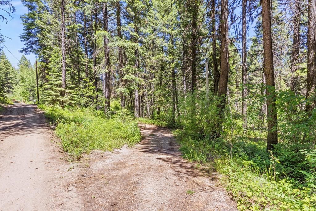 Image 3: Driveway