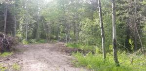 1785 Warren Wagon Road