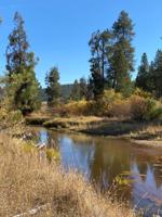 Lot 7 Empty Saddle Way