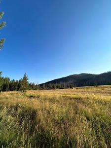 TBD Warren Wagon Road