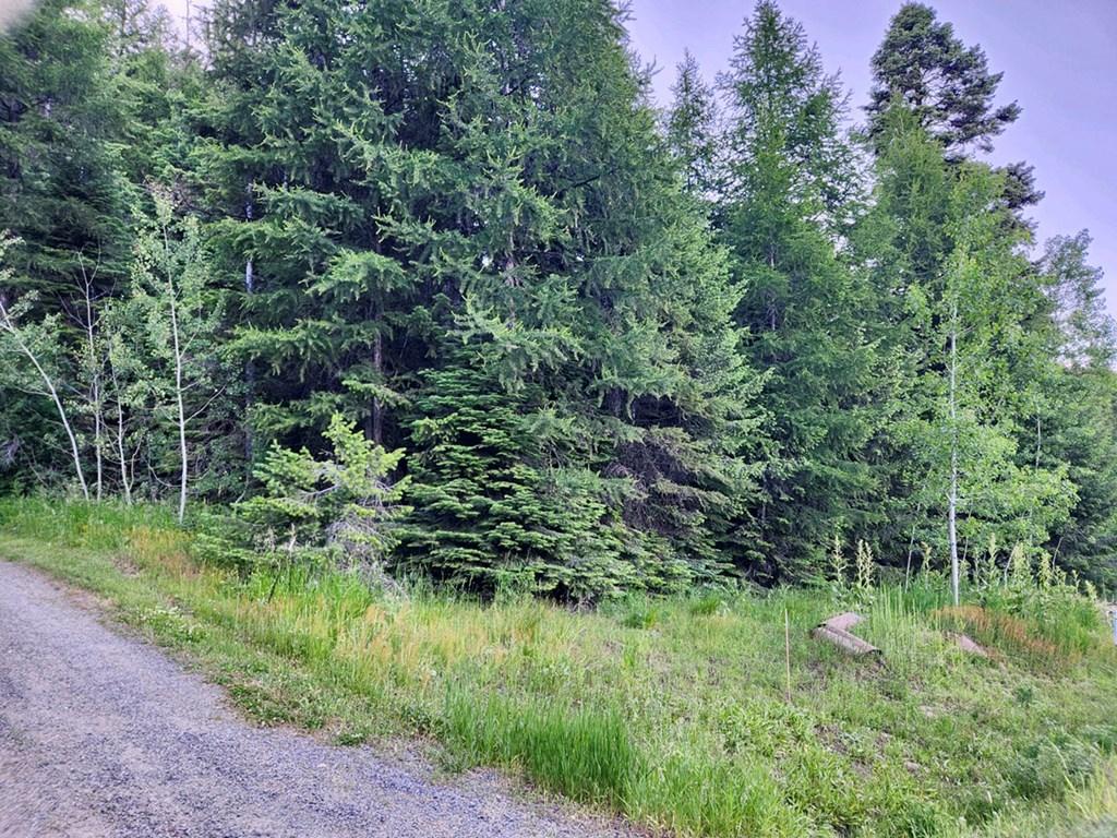 Image 4: Sloped, Steep & Wooded Terrain