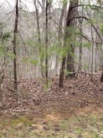 177 LAKE BLUFF PATH