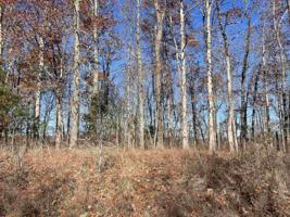 YOUNGER HOLLOW CEMETERY RD