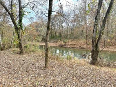 LOT 17 LEATHERWOOD LN