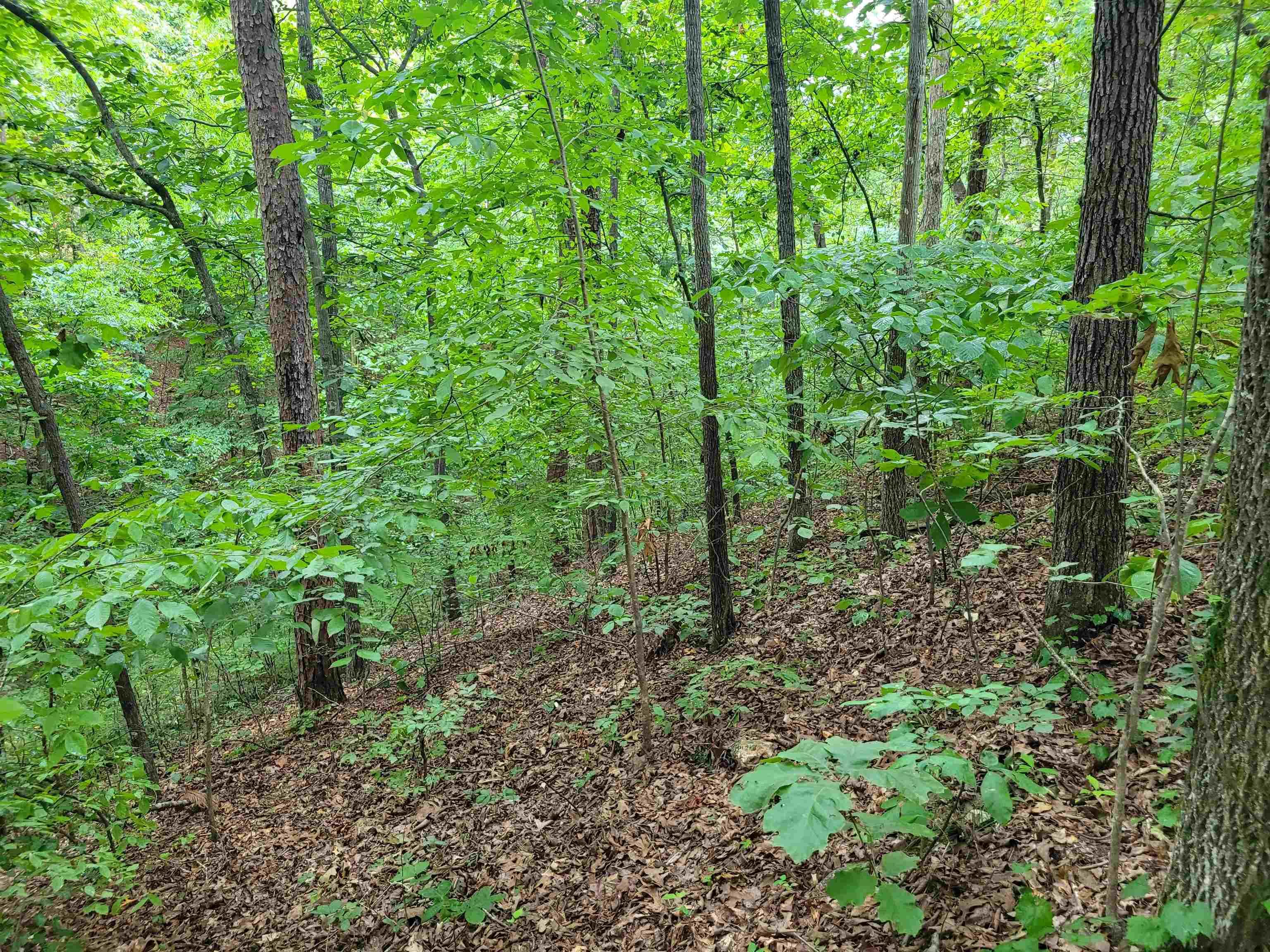Image 4: Image 4
