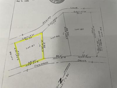 87 CR 262 RD