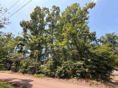 0 YELLOW CREEK LN