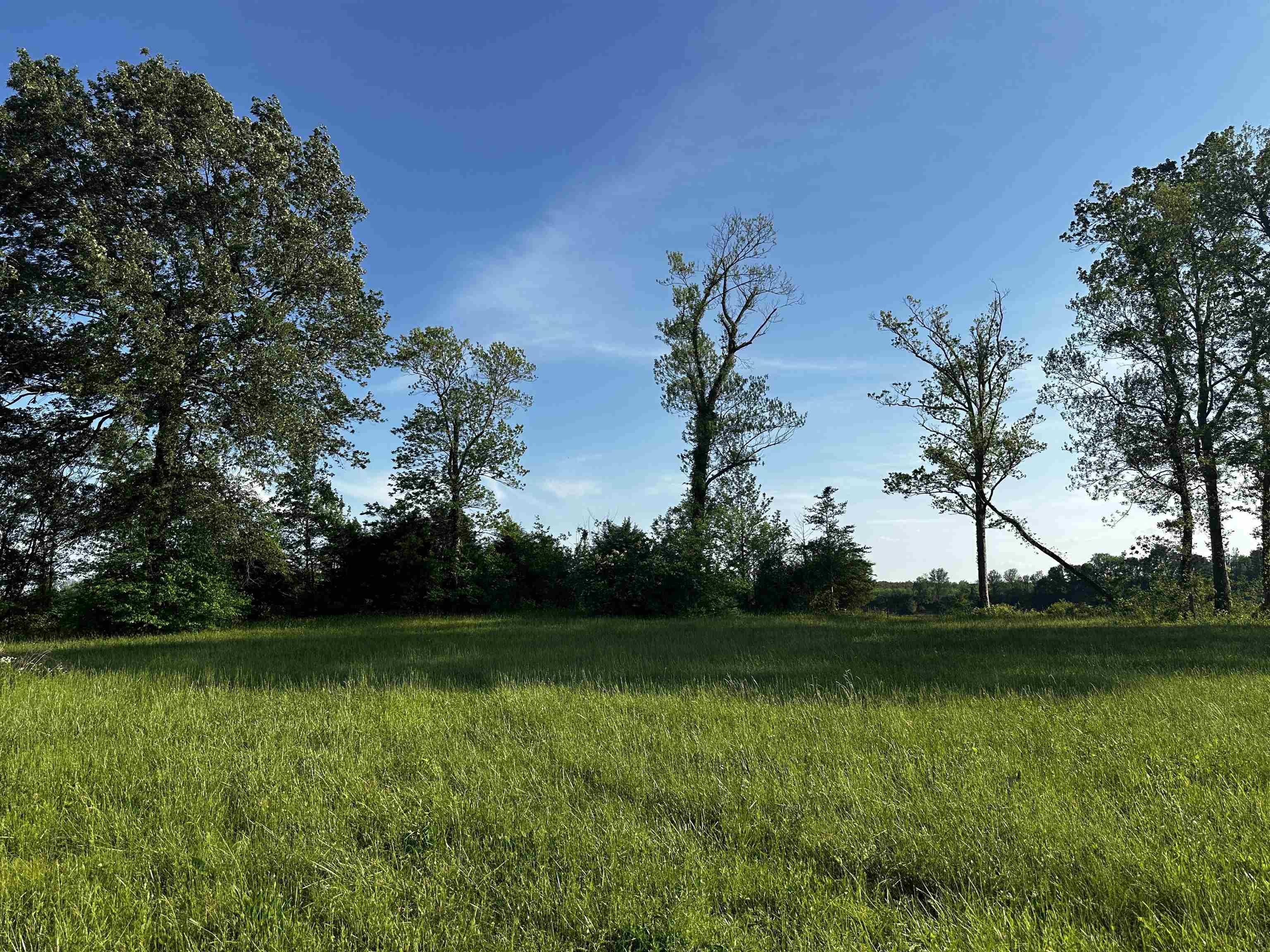 Image 1: View of nature