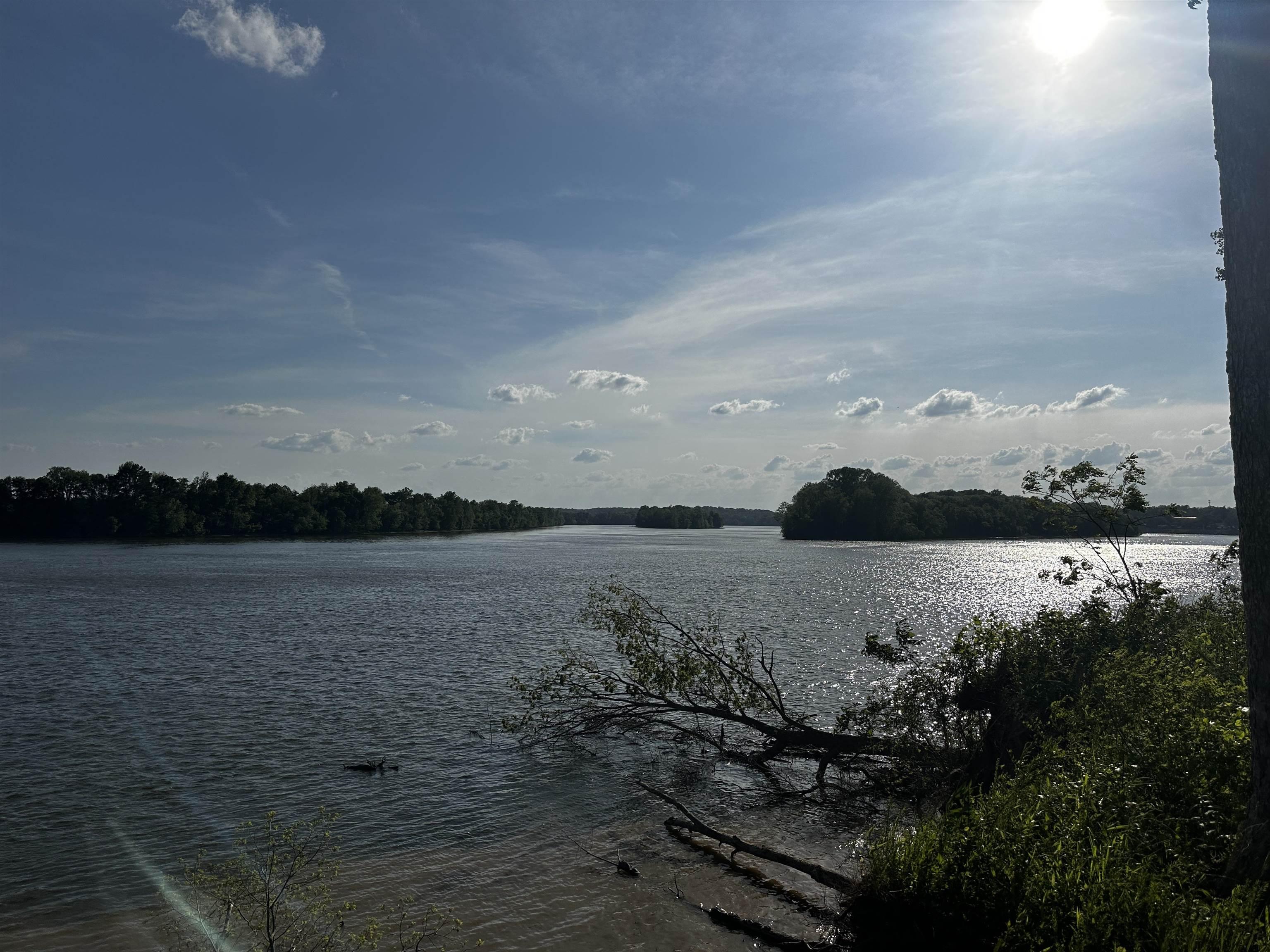 Image 4: Water view