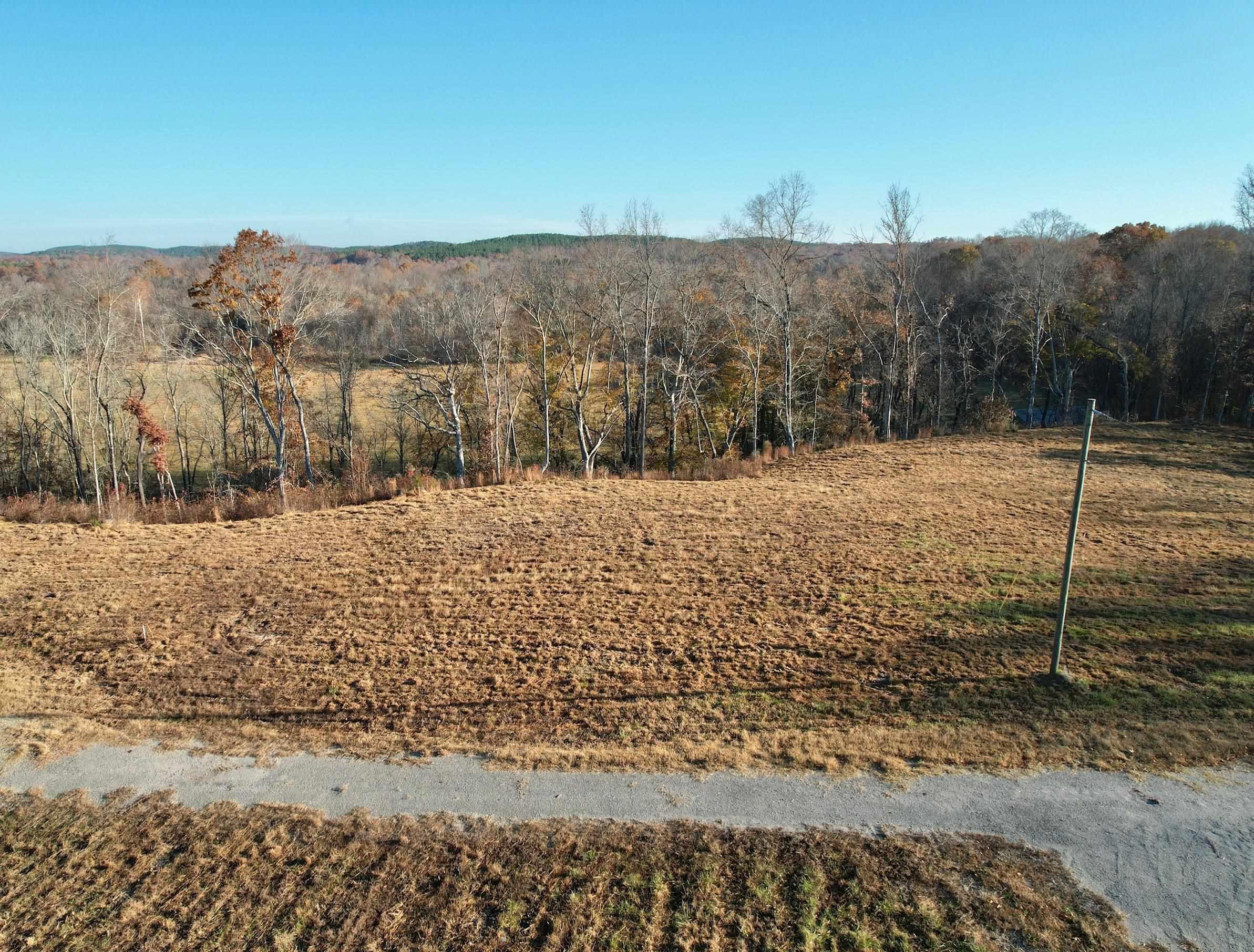 Image 1: Mountain view featuring a forest