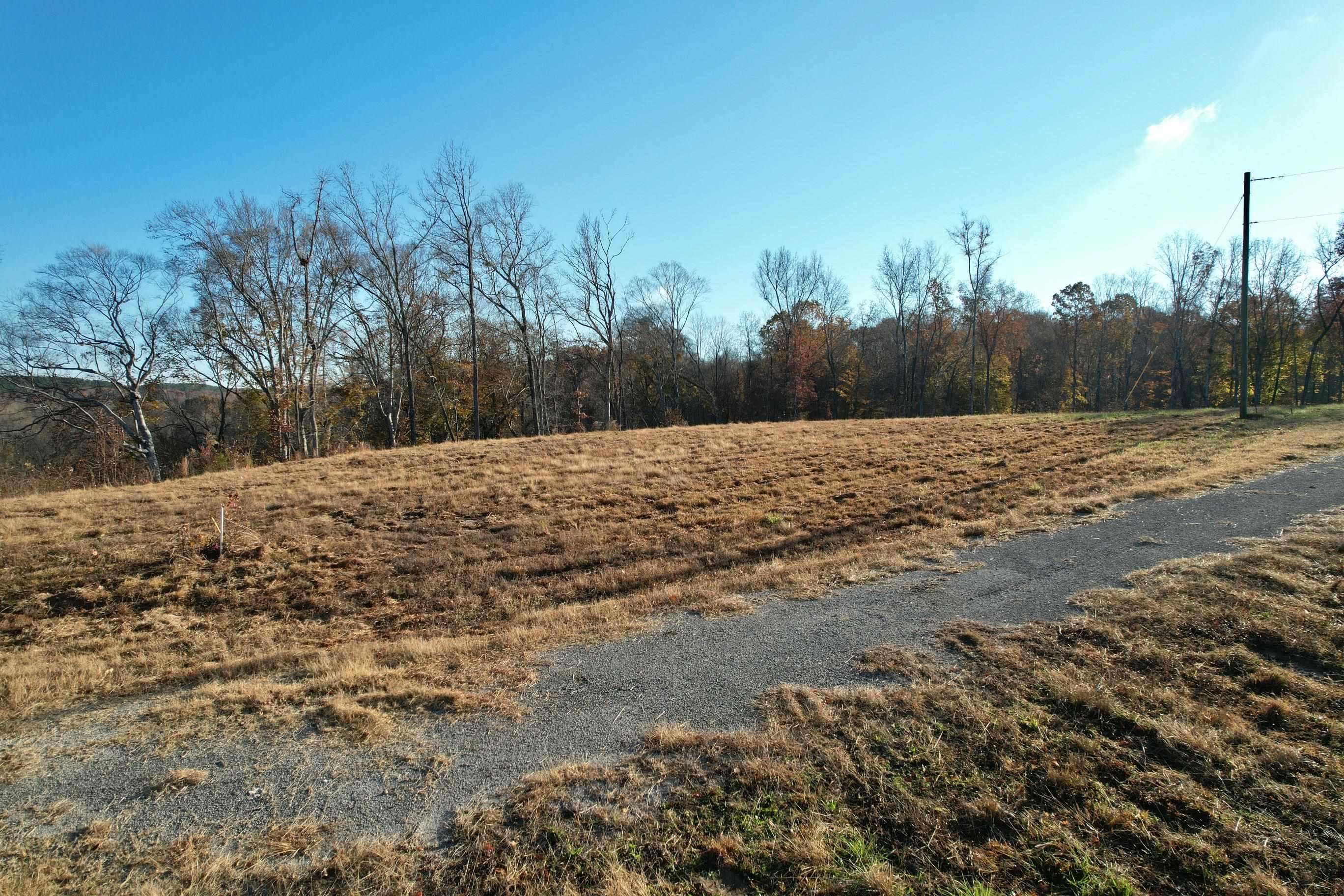 Image 2: View of yard