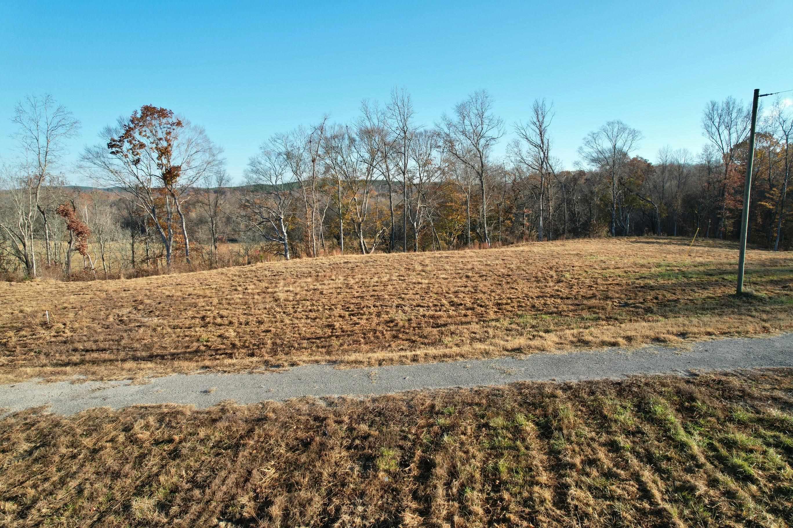 Image 3: View of yard