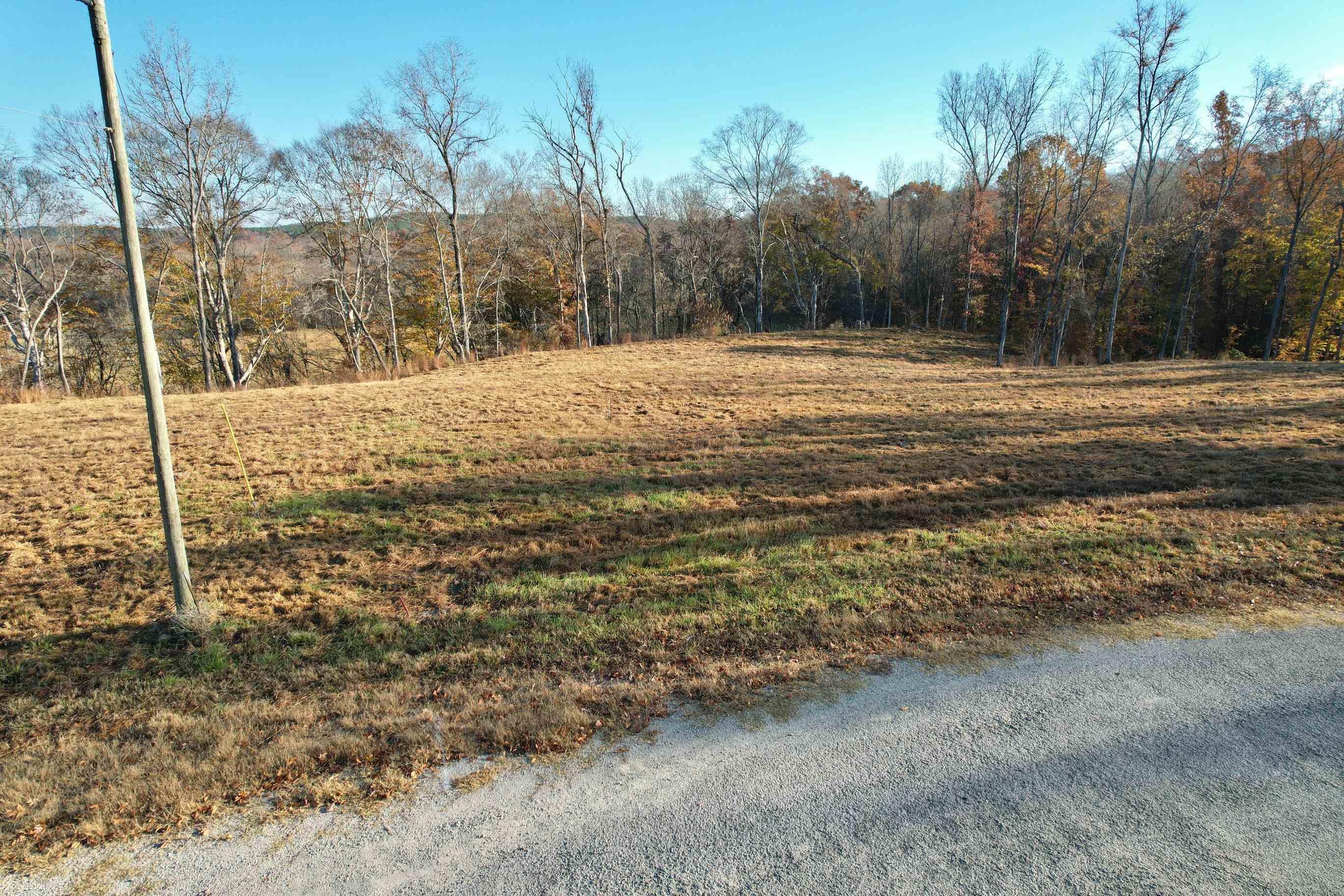 Image 2: View of undeveloped land