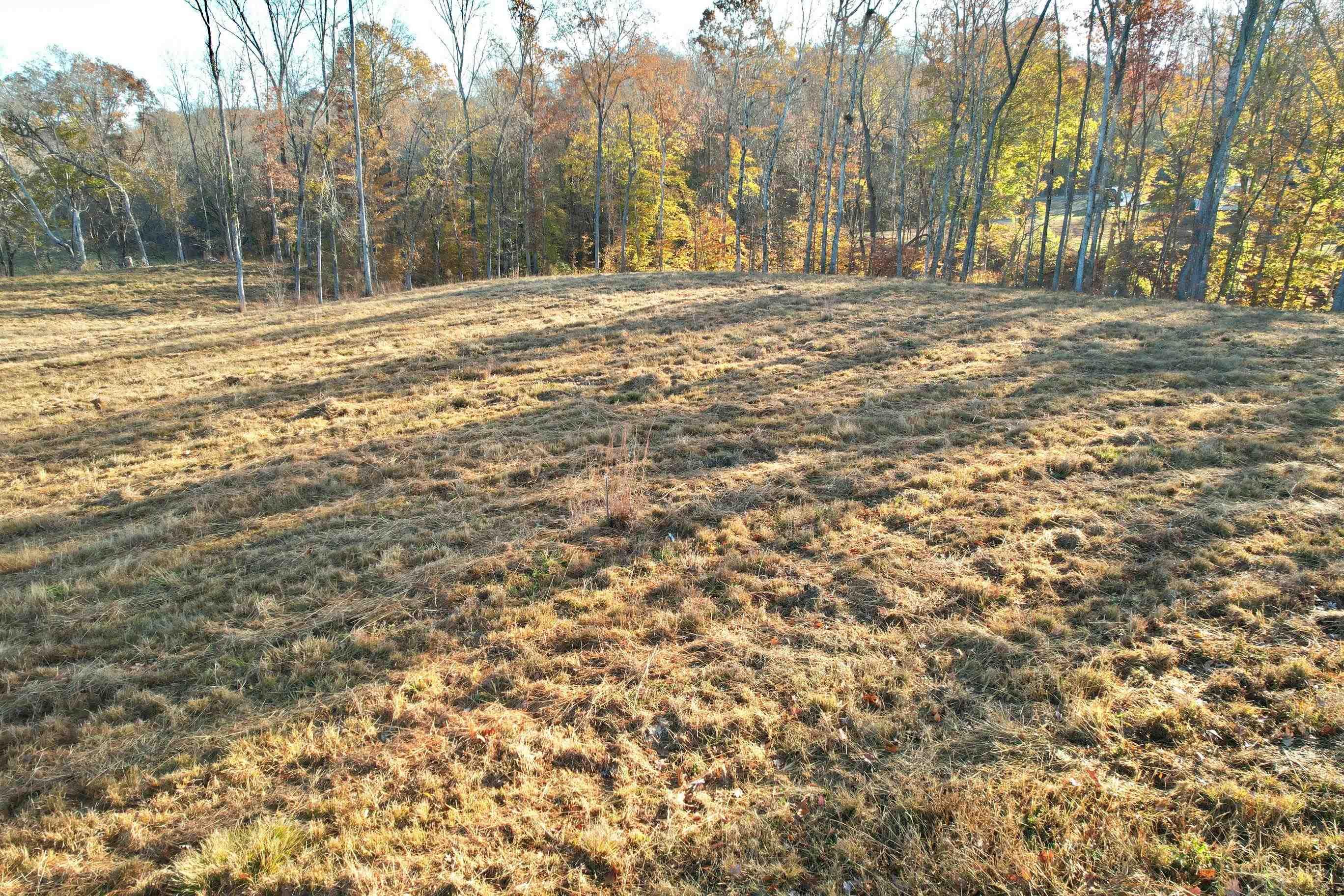 Image 1: View of yard