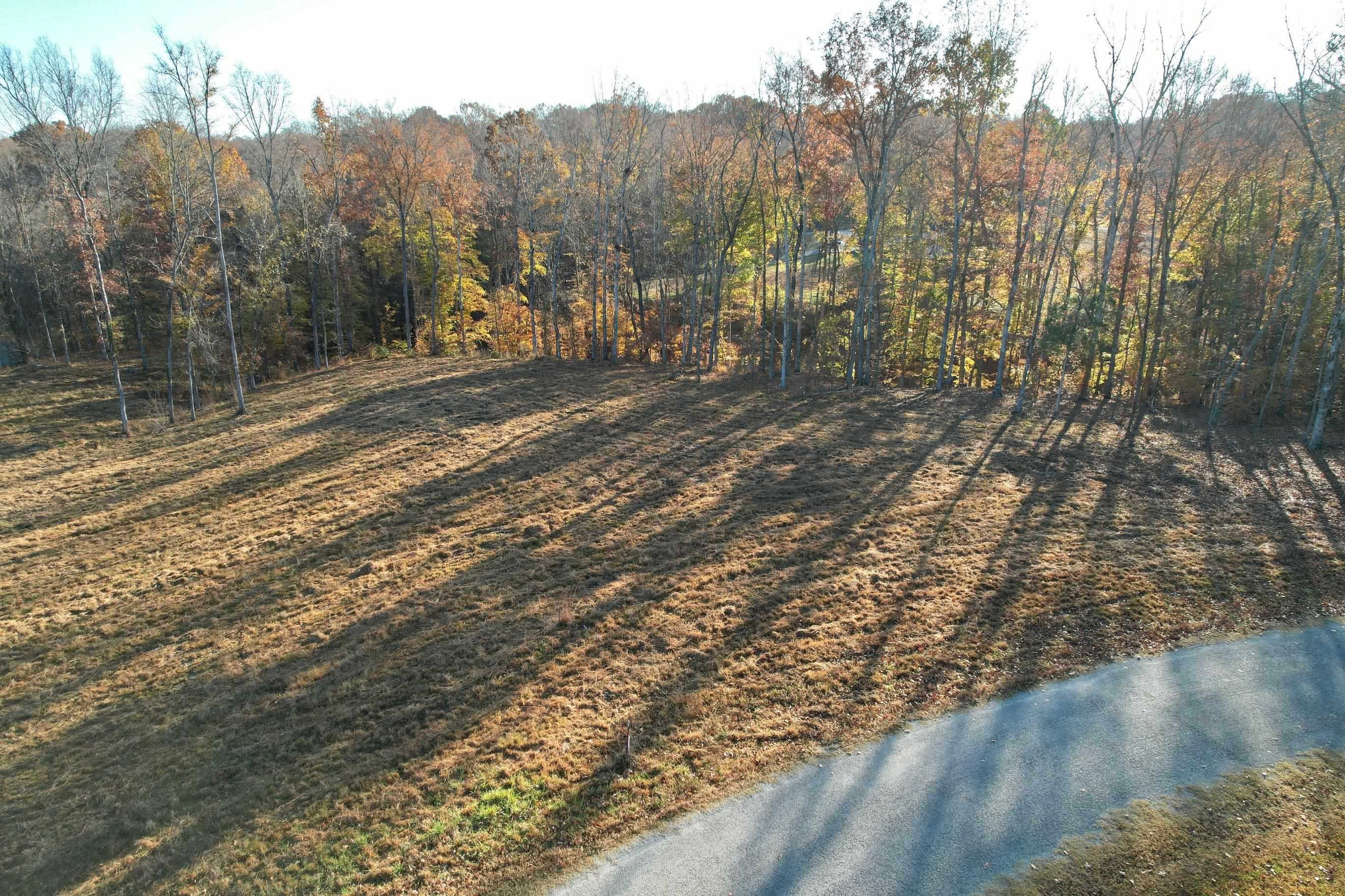 Image 2: View of yard with a wooded view