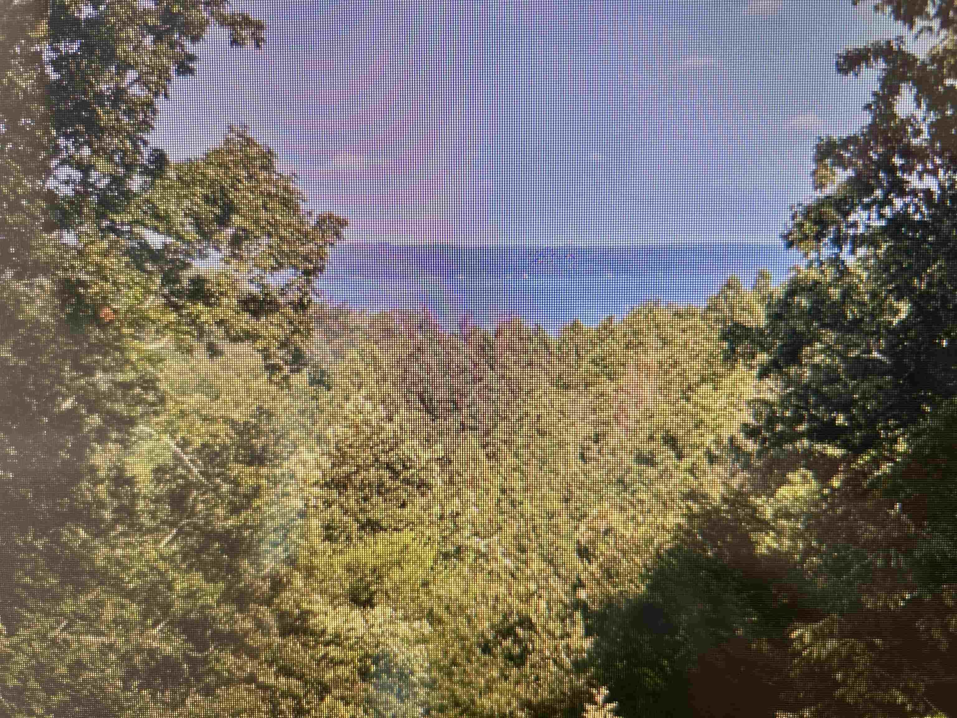 Image 1: Water view with a heavily wooded area