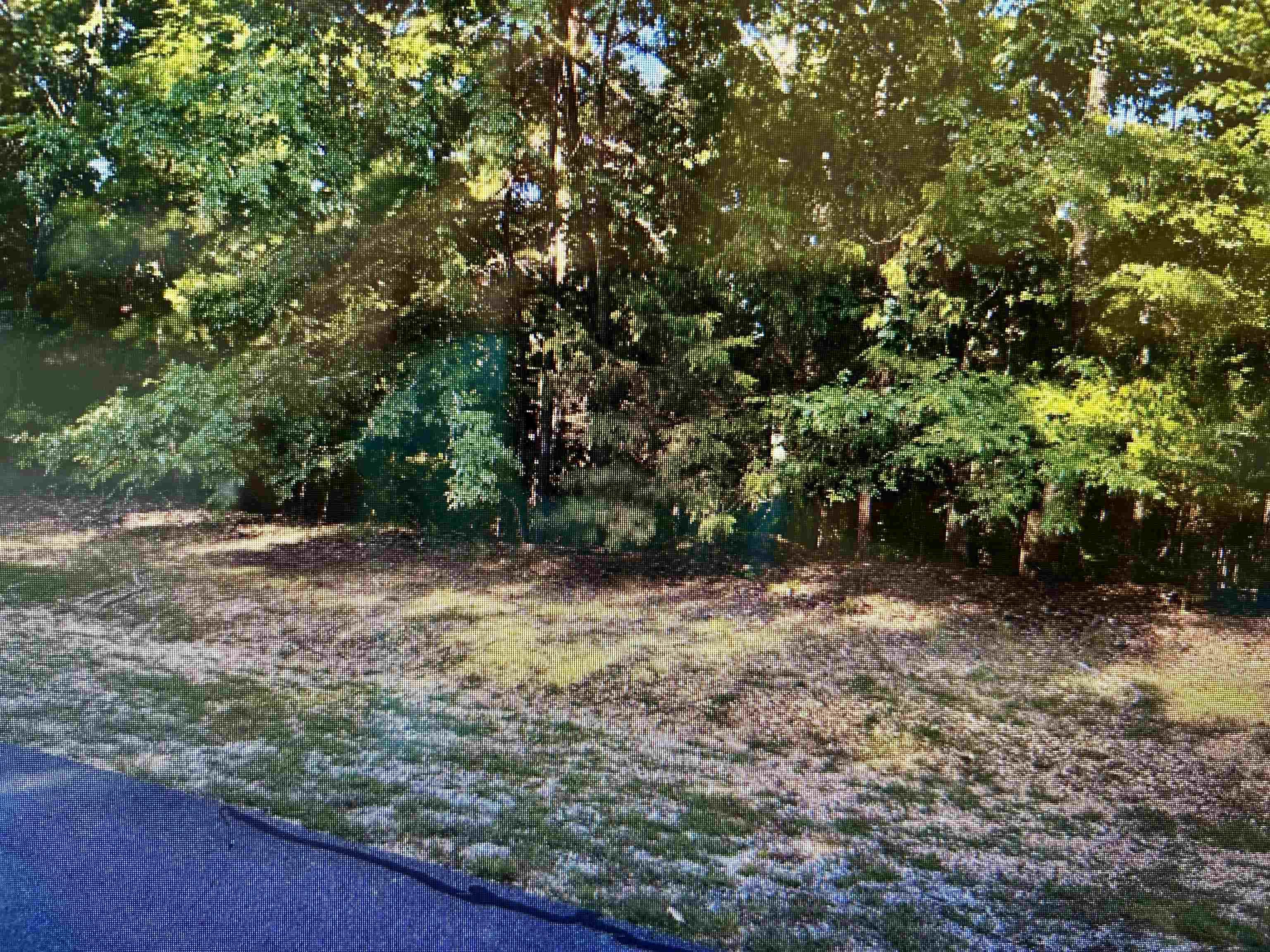 Image 2: View of yard
